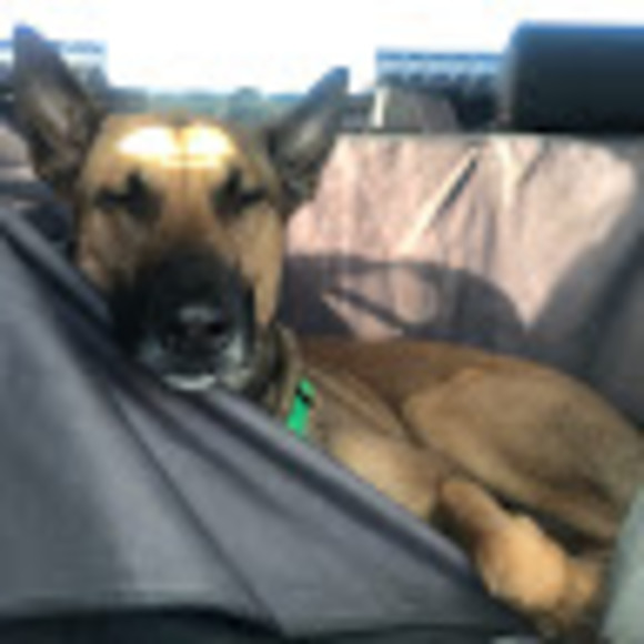 Meet your Posher, Jodi - Picture 1 of 1